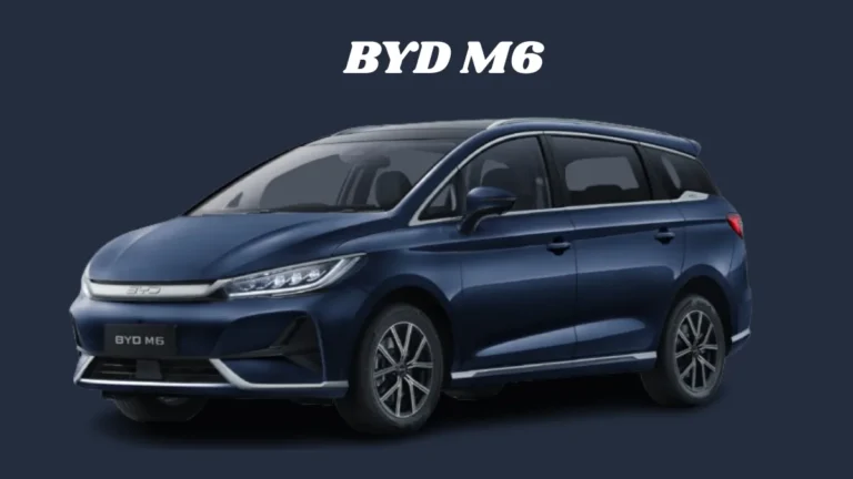 BYD M6
