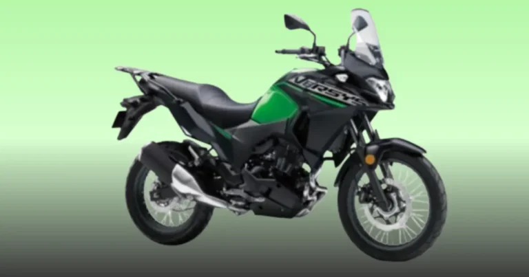 Kawasaki Versys-X 300