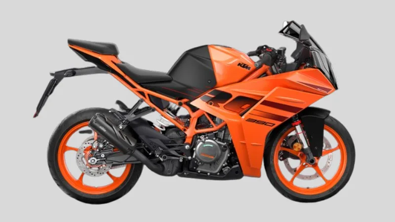 Torque vs Power in Bikes Explained for Beginners